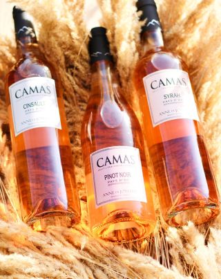 Patříte k těm, kteří se řídí klasickým pravidlem? Růžové v létě a hutné červené v zimě? Ano. Plná, velká, červená vína...