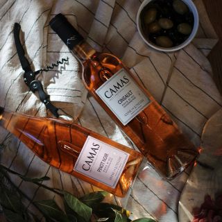 Potřebujete osvěžit, nakopnout v tomto zimním období? Máte na výběr! 😊 Osvěžte se jedním z našich Camas Rosé! 👉 Camas...